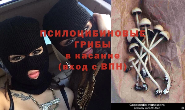 амф Алзамай