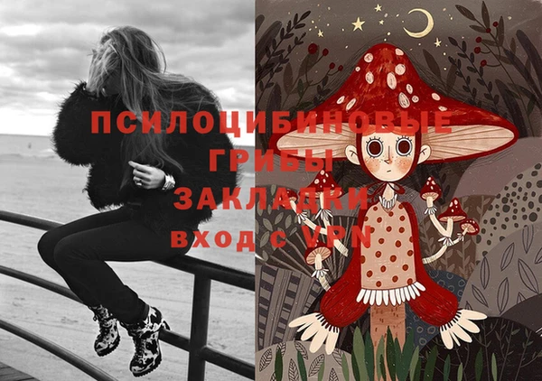 амф Алзамай