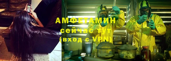 амф Алзамай